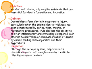 Nutrition
Via dentinal tubules, pulp supplies nutrients that are
.essential for dentin formation and hydration
Defense
Odontoblasts form dentin in response to injury,
particularly when the original dentin thickness has
been compromised by caries, wear, trauma, or
restorative procedures. Pulp also has the ability to
elicit an inflammatory and immunologic response in an
attempt to neutralize or eliminate invasion of dentin
by caries-causing microorganisms and their
.byproducts
Sensation
Through the nervous system, pulp transmits
sensations mediated through enamel or dentin to
.the higher nerve centers

 