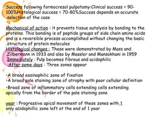 Success following formocresol pulpotomy:Clinical success = 90100%Histological success = 70-80%Success depends on accurate
.selection of the case
Mechanical of action : it prevents tissue autolysis by bonding to the
proteins. This bonding is of peptide groups of side chain amino acids
and is a reversible process accomplished without changing the basic
.structure of protein molecules
Histological changes : These were demonstrated by Mass and
.Zilbermann in 1933 and also by Massler and Mansokhani in 1959
.Immediately : Pulp becomes fibrous and acidophilic
:After some days : Three zones appear
•A broad eosinophilic zone of fixation
•A broad pale staining zone of atrophy with poor cellular definition
•Broad zone of inflammatory cells extending cells extending
apically from the border of the pale staining zone
year : Progressive apical movement of these zones with 1
only acidophillic zone left at the end of 1 year

 