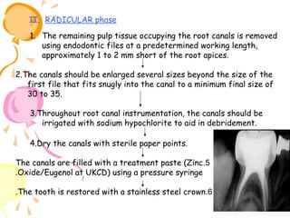 II. RADICULAR phase
1. The remaining pulp tissue occupying the root canals is removed
using endodontic files at a predetermined working length,
approximately 1 to 2 mm short of the root apices.
2.The canals should be enlarged several sizes beyond the size of the
first file that fits snugly into the canal to a minimum final size of
30 to 35.
3.Throughout root canal instrumentation, the canals should be
irrigated with sodium hypochlorite to aid in debridement.
4.Dry the canals with sterile paper points.
The canals are filled with a treatment paste (Zinc.5
.Oxide/Eugenol at UKCD) using a pressure syringe
.The tooth is restored with a stainless steel crown.6

 