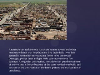 A tornado can reek serious havoc on human towns and other
manmade things that help humans live their daily lives. It is
generally normal for surrounding farms to be destroyed.
Damaged power lines and gas leaks can cause serious fire
damage. Along with destruction, tornadoes can put the economy
of a town into a frenzy because of the costs needed to rebuild and
because of the destruction of the farms putting the market into an
unbalance.

 