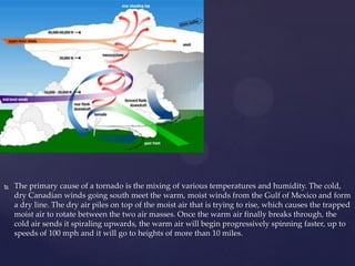

The primary cause of a tornado is the mixing of various temperatures and humidity. The cold,
dry Canadian winds going south meet the warm, moist winds from the Gulf of Mexico and form
a dry line. The dry air piles on top of the moist air that is trying to rise, which causes the trapped
moist air to rotate between the two air masses. Once the warm air finally breaks through, the
cold air sends it spiraling upwards, the warm air will begin progressively spinning faster, up to
speeds of 100 mph and it will go to heights of more than 10 miles.

 