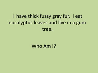 I have thick fuzzy gray fur. I eat
eucalyptus leaves and live in a gum
tree.
Who Am I?

 