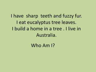I have sharp teeth and fuzzy fur.
I eat eucalyptus tree leaves.
I build a home in a tree . I live in
Australia.
Who Am I?

 