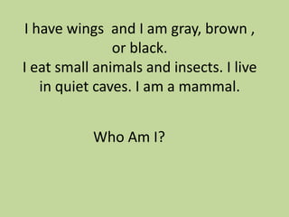 I have wings and I am gray, brown ,
or black.
I eat small animals and insects. I live
in quiet caves. I am a mammal.
Who Am I?

 