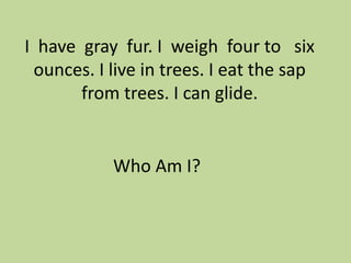 I have gray fur. I weigh four to six
ounces. I live in trees. I eat the sap
from trees. I can glide.

Who Am I?

 