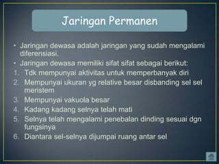 Jaringan Permanen
• Jaringan dewasa adalah jaringan yang sudah mengalami
diferensiasi.
• Jaringan dewasa memiliki sifat sifat sebagai berikut:
1. Tdk mempunyai aktivitas untuk memperbanyak diri
2. Mempunyai ukuran yg relative besar disbanding sel sel
meristem
3. Mempunyai vakuola besar
4. Kadang kadang selnya telah mati
5. Selnya telah mengalami penebalan dinding sesuai dgn
fungsinya
6. Diantara sel-selnya dijumpai ruang antar sel

 