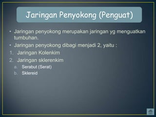 Jaringan Penyokong (Penguat)
• Jaringan penyokong merupakan jaringan yg menguatkan
tumbuhan.
• Jaringan penyokong dibagi menjadi 2, yaitu :
1. Jaringan Kolenkim
2. Jaringan sklerenkim
a. Serabut (Serat)
b. Sklereid

 