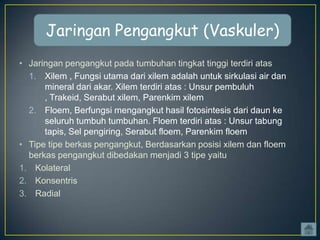 Jaringan Pengangkut (Vaskuler)
• Jaringan pengangkut pada tumbuhan tingkat tinggi terdiri atas
1. Xilem , Fungsi utama dari xilem adalah untuk sirkulasi air dan
mineral dari akar. Xilem terdiri atas : Unsur pembuluh
, Trakeid, Serabut xilem, Parenkim xilem
2. Floem, Berfungsi mengangkut hasil fotosintesis dari daun ke
seluruh tumbuh tumbuhan. Floem terdiri atas : Unsur tabung
tapis, Sel pengiring, Serabut floem, Parenkim floem
• Tipe tipe berkas pengangkut, Berdasarkan posisi xilem dan floem
berkas pengangkut dibedakan menjadi 3 tipe yaitu
1. Kolateral
2. Konsentris
3. Radial

 