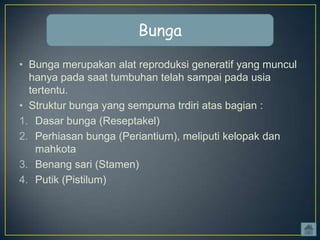 Bunga
• Bunga merupakan alat reproduksi generatif yang muncul
hanya pada saat tumbuhan telah sampai pada usia
tertentu.
• Struktur bunga yang sempurna trdiri atas bagian :
1. Dasar bunga (Reseptakel)
2. Perhiasan bunga (Periantium), meliputi kelopak dan
mahkota
3. Benang sari (Stamen)
4. Putik (Pistilum)

 