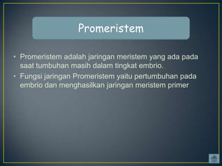 Promeristem
• Promeristem adalah jaringan meristem yang ada pada
saat tumbuhan masih dalam tingkat embrio.
• Fungsi jaringan Promeristem yaitu pertumbuhan pada
embrio dan menghasilkan jaringan meristem primer

 