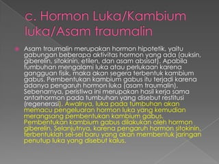 

Asam traumalin merupakan hormon hipotetik, yaitu
gabungan beberapa aktivitas hormon yang ada (auksin,
giberelin, sitokinin, etilen, dan asam absisat). Apabila
tumbuhan mengalami luka atau perlukaan karena
gangguan fisik, maka akan segera terbentuk kambium
gabus. Pembentukan kambium gabus itu terjadi karena
adanya pengaruh hormon luka (asam traumalin).
Sebenarnya, peristiwa ini merupakan hasil kerja sama
antarhormon pada tumbuhan yang disebut restitusi
(regenerasi). Awalnya, luka pada tumbuhan akan
memacu pengeluaran hormon luka yang kemudian
merangsang pembentukan kambium gabus.
Pembentukan kambium gabus dilakukan oleh hormon
giberelin. Selanjutnya, karena pengaruh hormon sitokinin,
terbentuklah sel-sel baru yang akan membentuk jaringan
penutup luka yang disebut kalus.

 