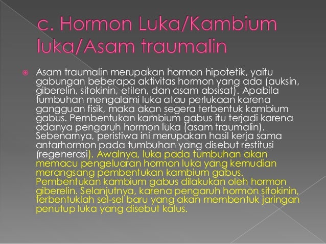 hormon gas etilen,asam absisat, asam traumalin