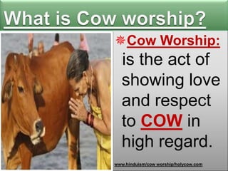 Cow Worship:

is the act of
showing love
and respect
to COW in
high regard.
www.hinduism/cow worship/holycow.com

 