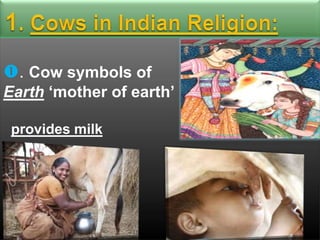 . Cow symbols of
Earth „mother of earth‟
provides milk

 