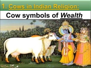 Cow symbols of Wealth

 