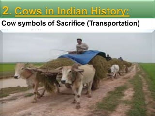 Cow symbols of Sacrifice (Transportation)
Transportation

 