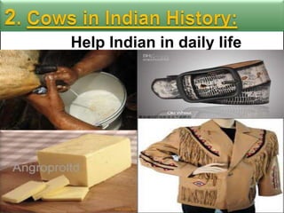 Help Indian in daily life

 