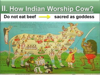 Do not eat beef

sacred as goddess

 