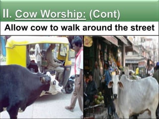 Allow cow to walk around the street

 