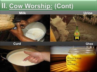 Milk

Urine

e

Curd

Ghee

 