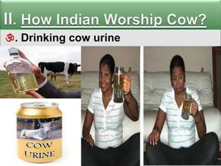 . Drinking cow urine

 