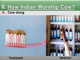 . Cow dung

Toothpaste

Medicine

 
