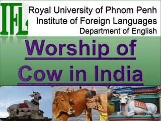 Cow Worship 
