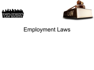 Employment Laws

 