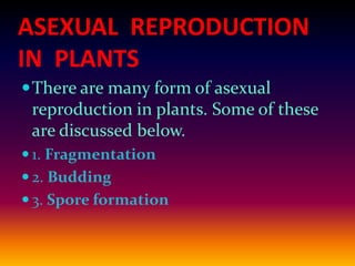 ASEXUAL REPRODUCTION
IN PLANTS
 There are many form of asexual

reproduction in plants. Some of these
are discussed below.
 1. Fragmentation
 2. Budding
 3. Spore formation

 