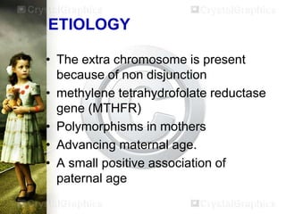 ETIOLOGY
• The extra chromosome is present
because of non disjunction
• methylene tetrahydrofolate reductase
gene (MTHFR)
• Polymorphisms in mothers
• Advancing maternal age.
• A small positive association of
paternal age

 