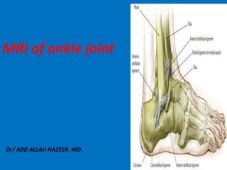 Dr/ ABD ALLAH NAZEER. MD.
MRI of ankle joint
 