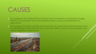 

According to the United Nations Framework Convention on Climate Change
(UNFCCC) secretariat, the overwhelming direct cause of deforestation is
agriculture.



Some argue that poor people are more likely to clear forest because they have
no alternatives, others that the poor lack the ability to pay for the materials and
labour needed to clear forest.

 