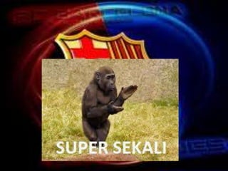 Presentation1