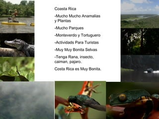 Coasta Rica
-Mucho Mucho Anamalias
y Plantas
-Mucho Parques
-Monteverdo y Tortuguero
-Actividads Para Turistas
-Muy Muy Bonita Selvas
-Tenga Rana, insecto,
caiman, pajaro.
Costa Rica es Muy Bonita.

 