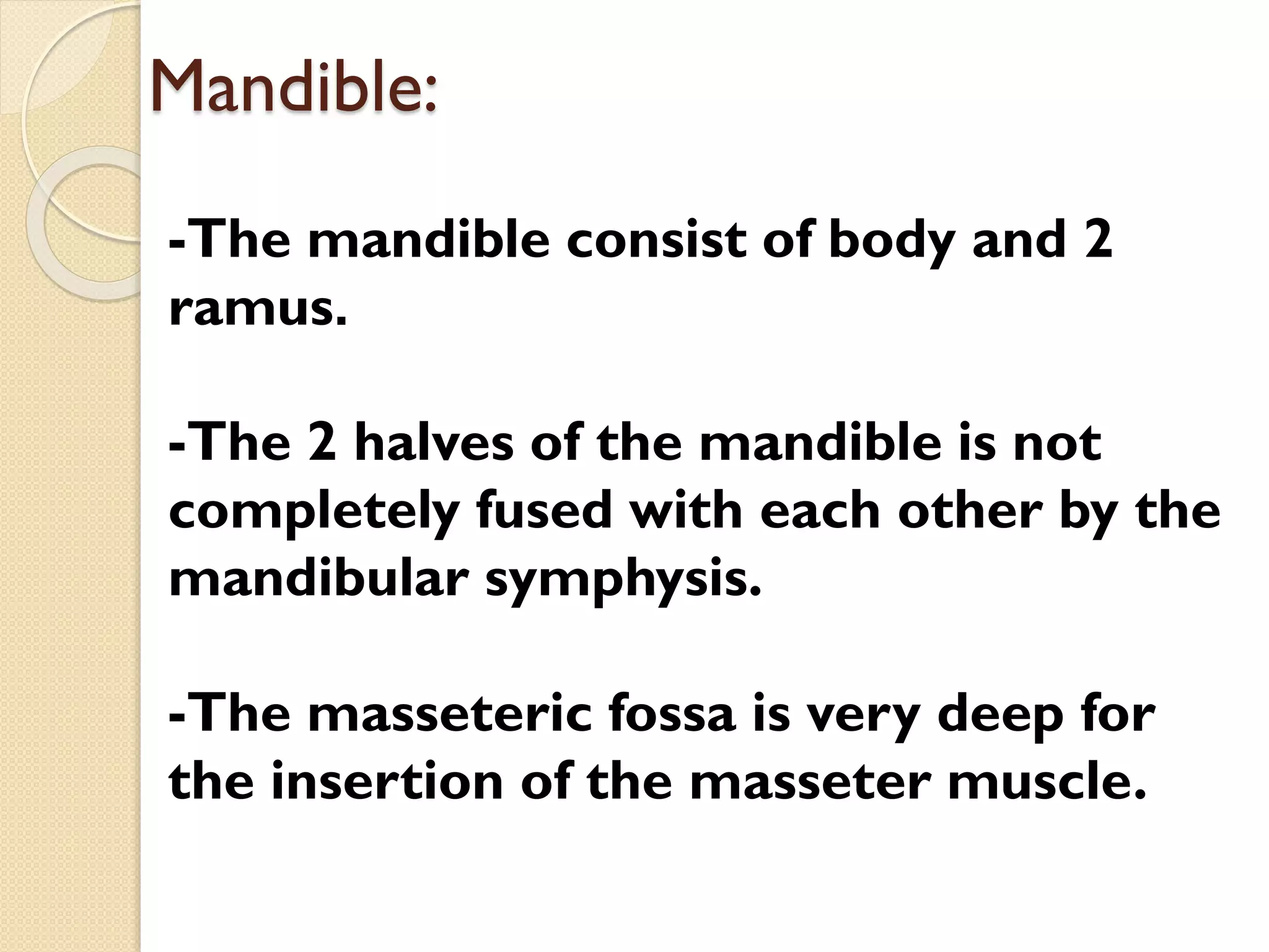 Mandible:
-The mandible consist of body and 2
ramus.
-The 2 halves of the mandible is not
completely fused with each other by the
mandibular symphysis.
-The masseteric fossa is very deep for
the insertion of the masseter muscle.

 