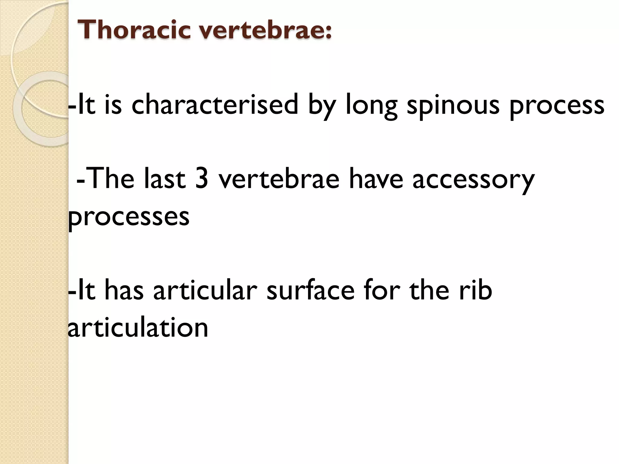 Thoracic vertebrae:

-It is characterised by long spinous process
-The last 3 vertebrae have accessory
processes
-It has articular surface for the rib
articulation

 