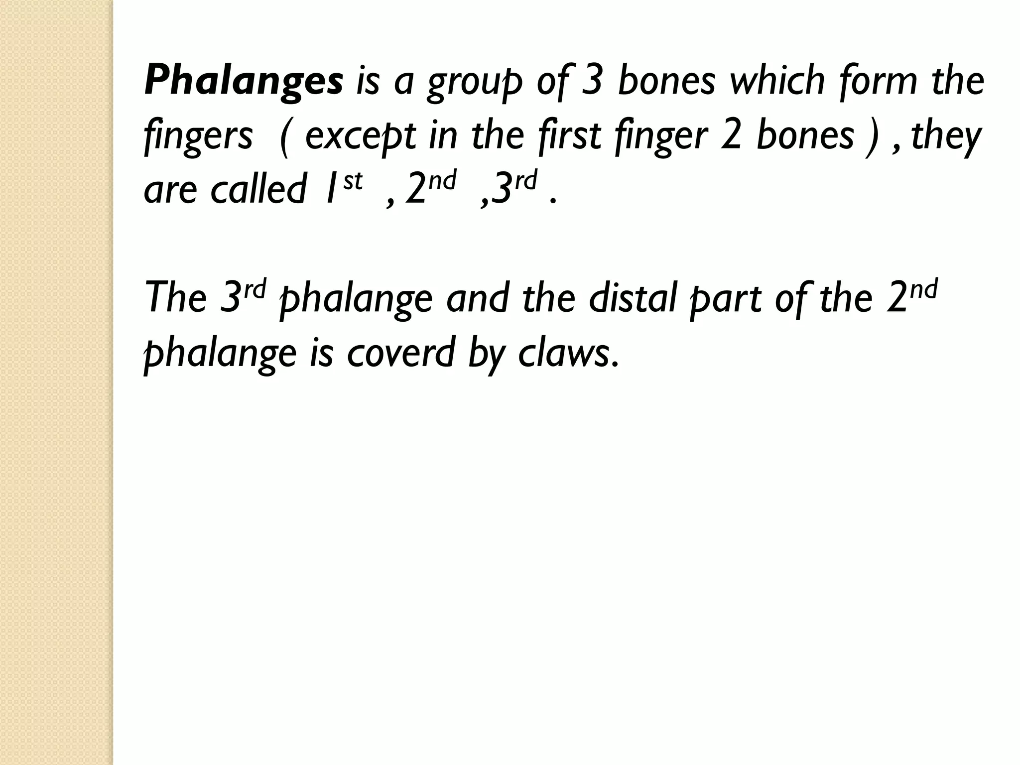 Phalanges is a group of 3 bones which form the
fingers ( except in the first finger 2 bones ) , they
are called 1st , 2nd ,3rd .

The 3rd phalange and the distal part of the 2nd
phalange is coverd by claws.

 