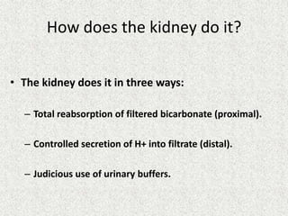 How does the kidney do it?
• The kidney does it in three ways:
– Total reabsorption of filtered bicarbonate (proximal).
– Controlled secretion of H+ into filtrate (distal).
– Judicious use of urinary buffers.
 