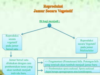 PPT JAMUR | PPTX