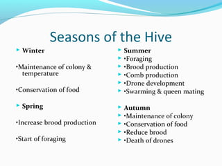 Seasons of the Hive
 Winter
•Maintenance of colony &
temperature
•Conservation of food
 Spring
•Increase brood production
•Start of foraging
 Summer
 •Foraging
 •Brood production
 •Comb production
 •Drone development
 •Swarming & queen mating
 Autumn
 •Maintenance of colony
 •Conservation of food
 •Reduce brood
 •Death of drones
 