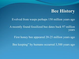 Bee History
Evolved from wasps perhaps 150 million years ago
A recently found fossilized bee dates back 97 million
years
First honey bee appeared 20-25 million years ago
Bee keeping” by humans occurred 3,500 years ago
 