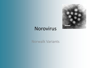 Norovirus
Norwalk Variants
 