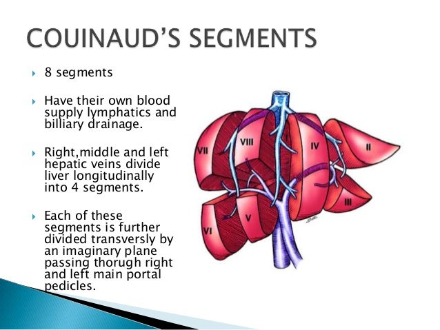 Image result for Functional divisions of liver:
Couinaud's segments