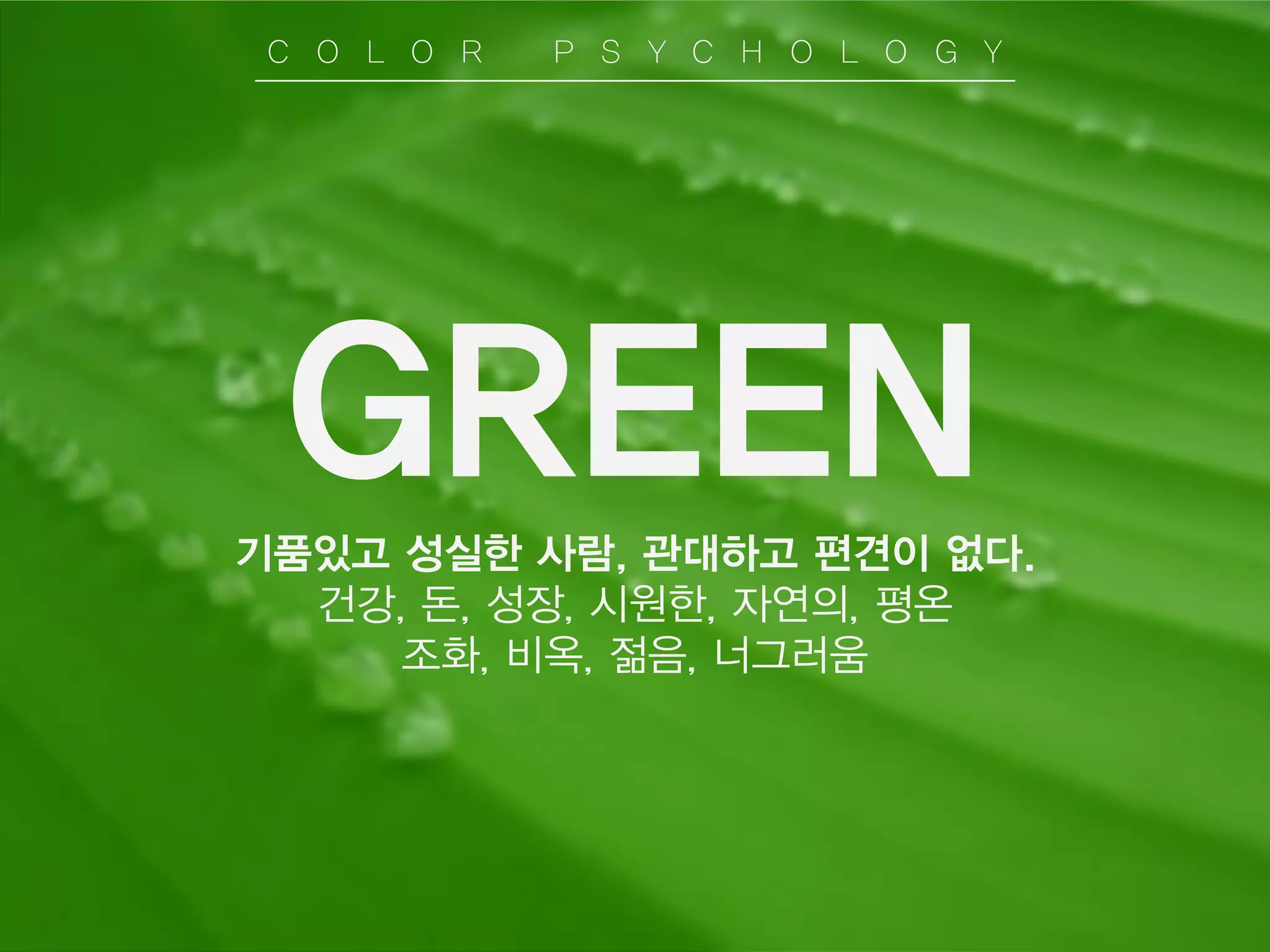 GREEN
기품있고 성실한 사람, 관대하고 편견이 없다.
건강, 돈, 성장, 시원한, 자연의, 평온
조화, 비옥, 젊음, 너그러움
C O L O R P S Y C H O L O G Y
 