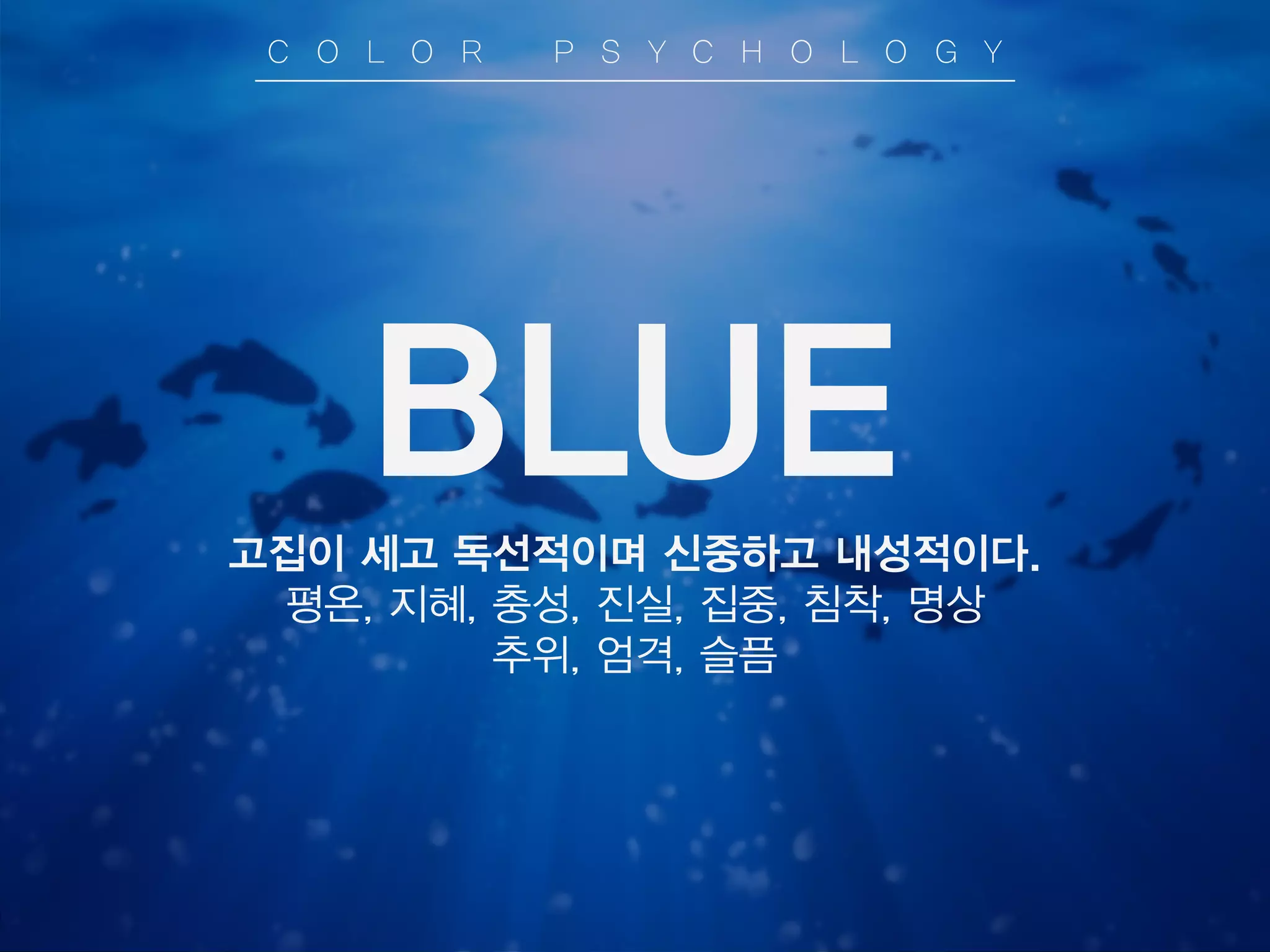 BLUE
고집이 세고 독선적이며 신중하고 내성적이다.
평온, 지혜, 충성, 진실, 집중, 침착, 명상
추위, 엄격, 슬픔
C O L O R P S Y C H O L O G Y
 