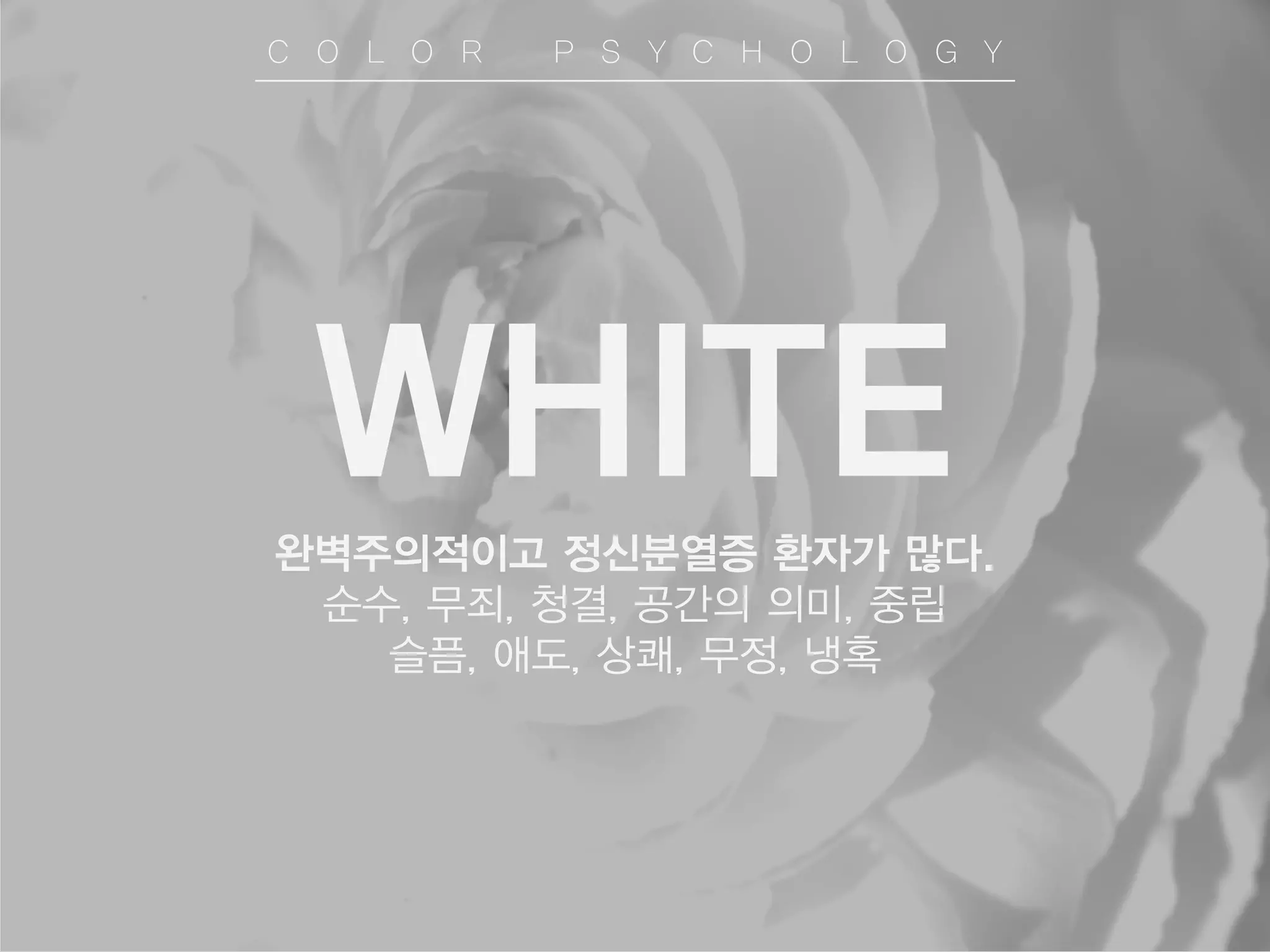 WHITE
완벽주의적이고 정신분열증 환자가 많다.
순수, 무죄, 청결, 공간의 의미, 중립
슬픔, 애도, 상쾌, 무정, 냉혹
C O L O R P S Y C H O L O G Y
 