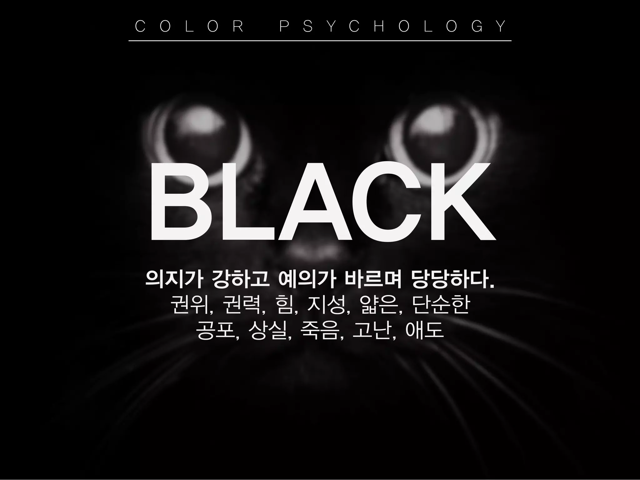 BLACK
의지가 강하고 예의가 바르며 당당하다.
권위, 권력, 힘, 지성, 얇은, 단순한
공포, 상실, 죽음, 고난, 애도
C O L O R P S Y C H O L O G Y
 