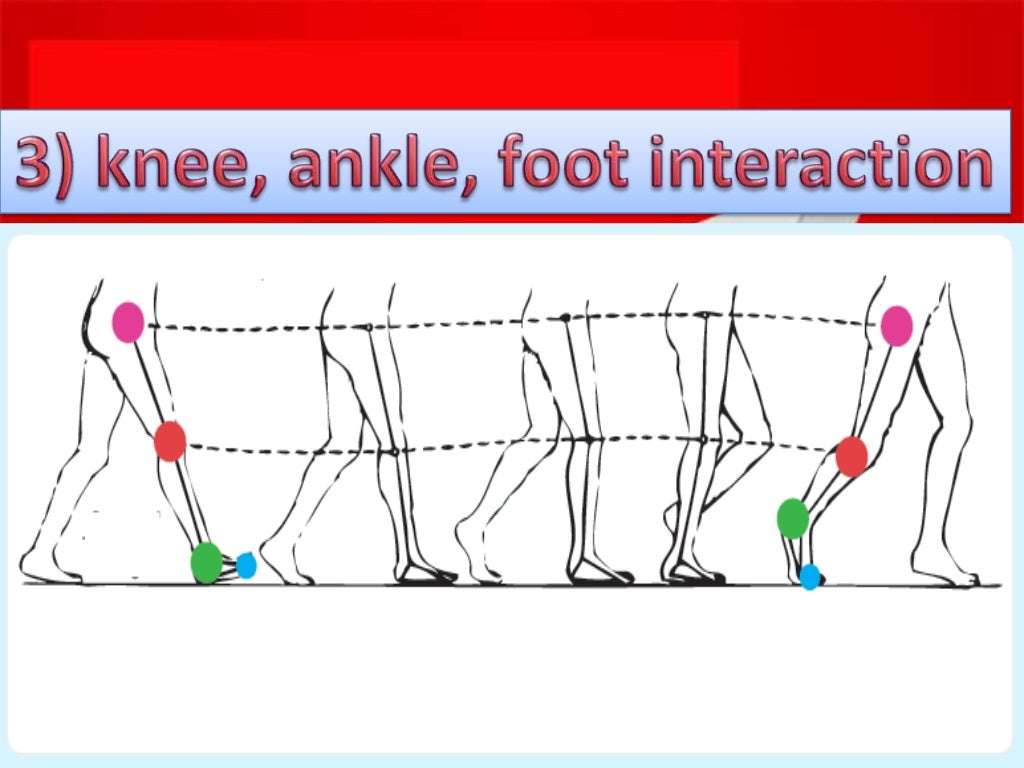 biomechanics of stair climbing