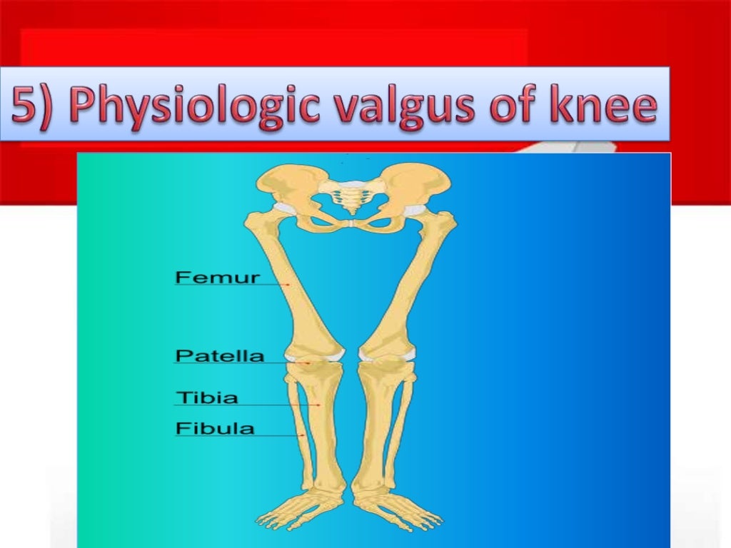 biomechanics of stair climbing