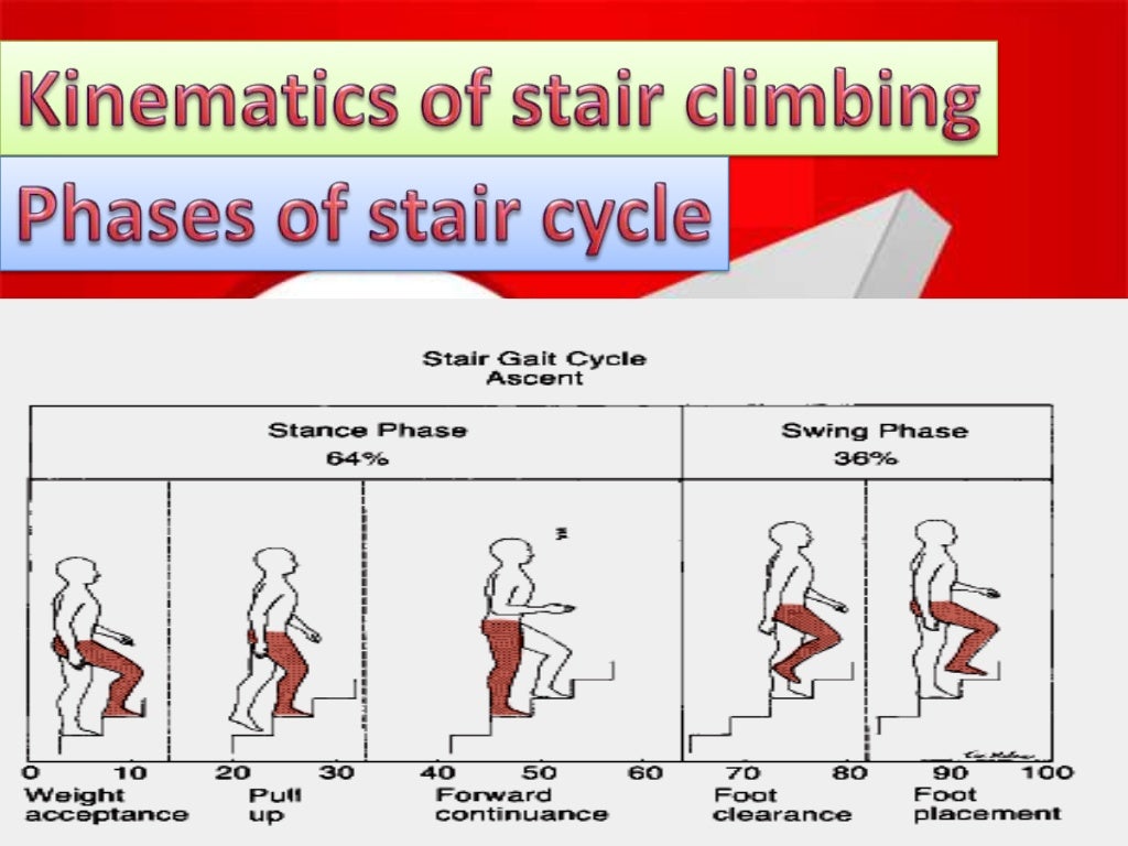 biomechanics of stair climbing